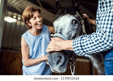 A Senior Couple Petting A Horse In A Stable.