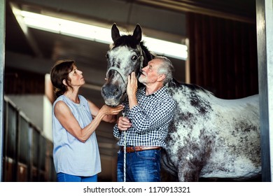 A Senior Couple Petting A Horse In A Stable.