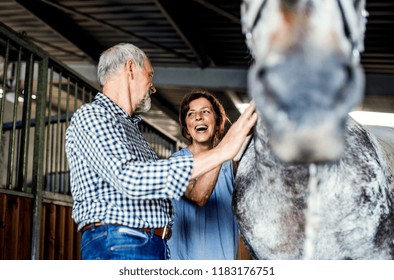 A Senior Couple Petting A Horse In A Stable.