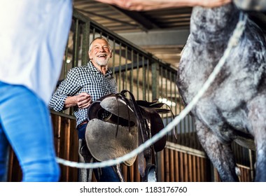 A Senior Couple Putting A Saddle On A Horse In A Stable.