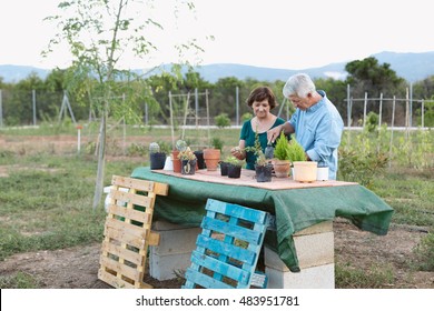 Senior couple replanting some plants into terracotta pots. / Couple working in their garden - Powered by Shutterstock