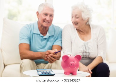 Senior Couple Saving Money At Home