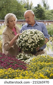 Senior Couple Shopping For Flowers In Garden Centre, Man Holding Pot Plant