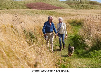 Senior Couple Taking Dog For Walk In Countryside