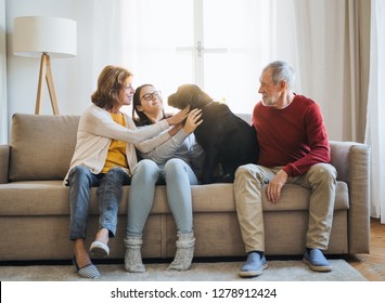 A Senior Couple With A Teenage Girl Sitting On A Sofa With Dog At Home.