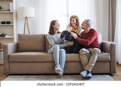A senior couple with a teenage girl sitting on a sofa with dog at home. - Shutterstock ID 1291601407