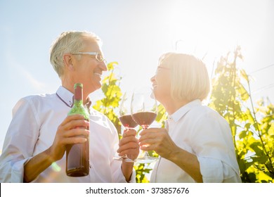 Senior couple toasting with wine glasses in vineyard, woman and man toasting each other - Powered by Shutterstock