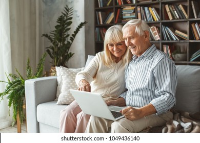 Senior couple together at home retirement concept sitting using laptop pointing at the screen