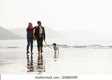 Senior Couple Walking Along Winter Beach With Pet Dog