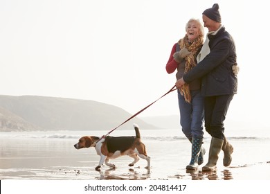 Senior Couple Walking Along Winter Beach With Pet Dog