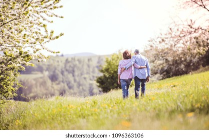 Senior Couple Walking Arm In Arm Outside In Spring Nature.