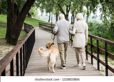 senior couple walking with cute dog across wooden bridge in park