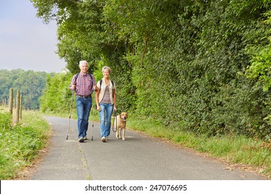 Senior Couple Walking The Dog In The Nature In The Summer