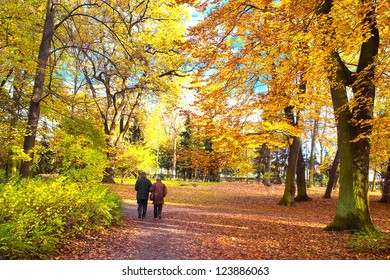 Senior Couple Walking  In The Park