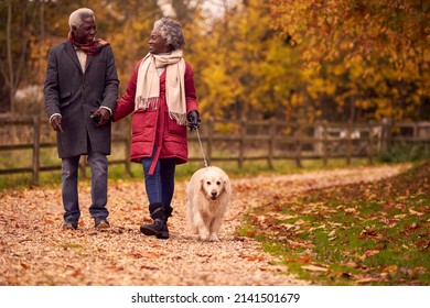 Senior Couple Walking With Pet Golden Retriever Dog In Autumn Countryside