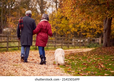 Senior Couple Walking With Pet Golden Retriever Dog In Autumn Countryside