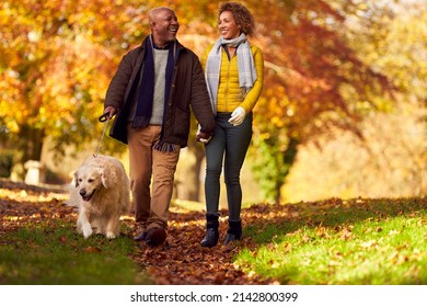 Senior Couple Walking With Pet Golden Retriever Dog In Autumn Countryside