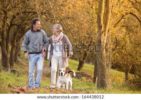 Similar – Image, Stock Photo walk Pet Dog 1 Animal Jump