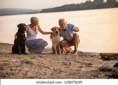 Senior couple walking with their pets at the riverside - Powered by Shutterstock