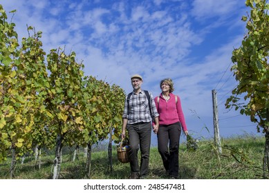 Senior Couple Walking In The Vineyard