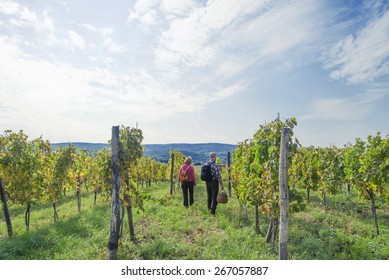 Senior Couple Walking In The Vineyard