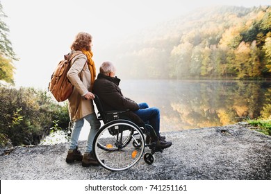 Senior couple with wheelchair in autumn nature. - Powered by Shutterstock