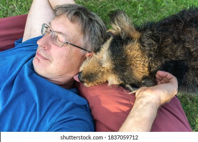 Senior Dog Licking Face Of Smiling Mature Man, Lying On Pillow In Meadow. Friendship Between Old Dog And His Owner. Pets Love Concept