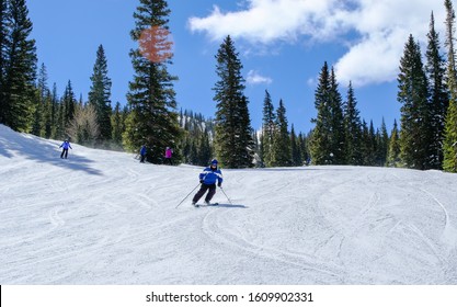 Senior  downhill skier skiing in Colorado ski resort near Aspen, Colorado, on nice winter day; pine trees and sky in background