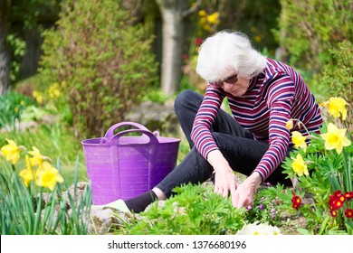 Senior elderly person active lifestyle in garden during bright colourful spring sunshine and summer temperature