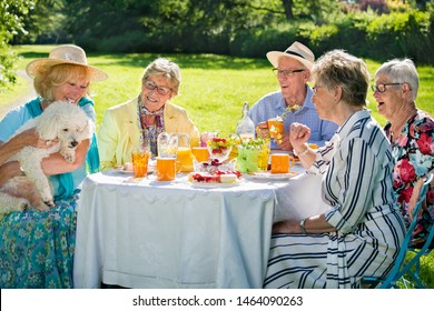 Senior Family Members Are Picnicking In Park, Having Meal, Eating Cake, Drinking Fruit Juice, Enjoying A Small White Dog, Held In Arms By A Blond Lady.
