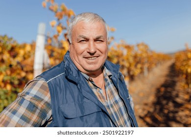 A senior farmer agronomist embraces the beauty of autumn in the vineyard, weaving together the delicate threads of nature bounty. Mastery Senior Farmer Agronomist in the Heart of Autumn Winemaking - Powered by Shutterstock