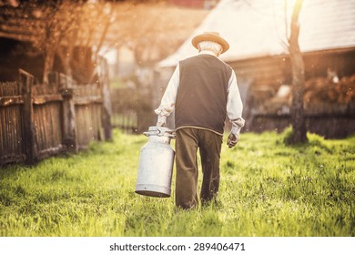 Senior Farmer Carrying Kettle Full Of Milk