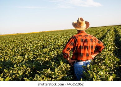 Senior farmer in a field looking into the distance. - Shutterstock ID 440651062