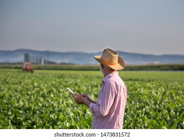 Senior farmer with hat standing in soybean field and holding tablet. Tractor spraying crops in background - Powered by Shutterstock