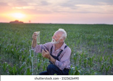 Senior Farmer Squatting Beside Rain Gauge In Corn Field At Sunset