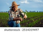 Senior farmer standing in corn field examining crop in his hands at sunset.