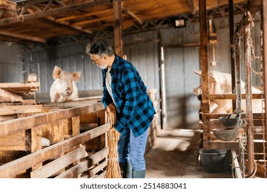 senior farmer sweeps the floor in a barn while tending to pigs in their enclosures. - Powered by Shutterstock