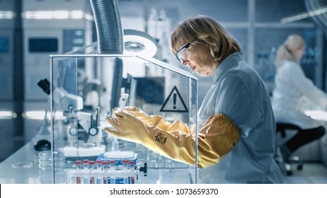 Senior Female Biologist Works With Samples In Isolation Glove Box. She's In A Modern, Busy Laboratory Equipped With State Of The Art Technology.