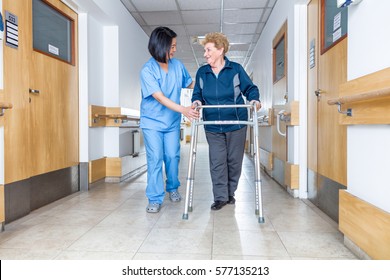 Senior Female Patient Being Assisted By Female Asian Nurse In Using Walker.