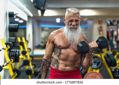 Senior fitness man doing biceps curl exercises inside gym - Fit mature male training with dumbbells in wellness club center - Body building and sport healthy lifestyle concept