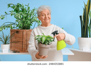 Senior florist watering plant near counter on blue background - Powered by Shutterstock