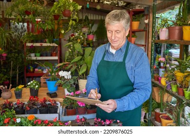 Senior Gardener As The Owner Does Inventory And Quality Control In The Flower Shop