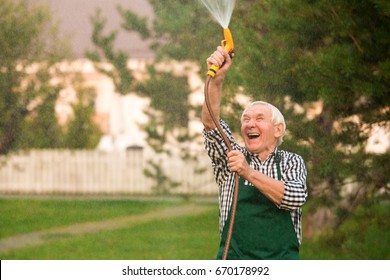 Senior Gardener With Water Hose. Old Man Having Fun. Let It Rain.