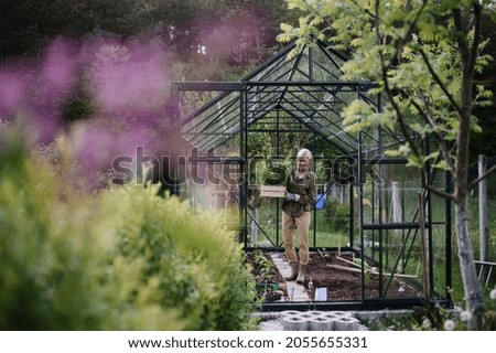 Similar – Image, Stock Photo greenhouse Greenhouse