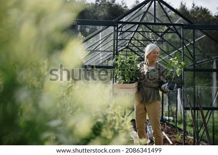 Similar – Image, Stock Photo greenhouse Greenhouse