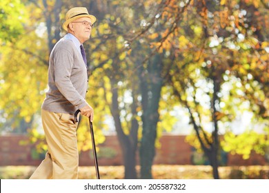 Senior Gentleman Walking With A Cane In A Park