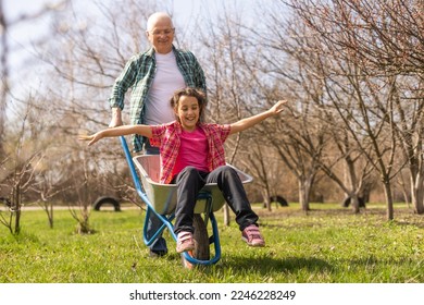 Senior grandfather and granddaughter gardening in the backyard garden. - Powered by Shutterstock