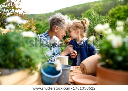 Similar – Alter Garten Frühling