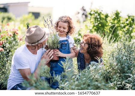 Similar – Alter Garten Frühling