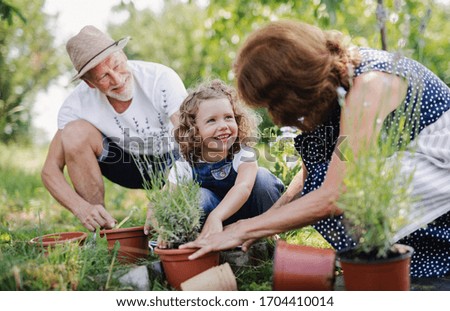 Similar – Alter Garten Frühling